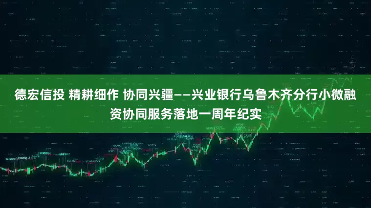德宏信投 精耕细作 协同兴疆——兴业银行乌鲁木齐分行小微融资协同服务落地一周年纪实