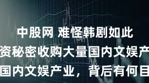 中股网 难怪韩剧如此嚣张！韩资秘密收购大量国内文娱产业，背后有何目的